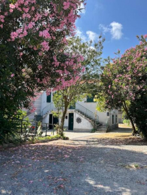 Appartamento in casa bifamiliare con giardino Celle Ligure